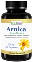 Arnica Montana Capsule 500 mg 100 Capsule