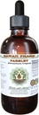 Pătrunjel fără alcool Extract lichid, Pătrunjel (Petroselinum Crispum) Root Glicerite Supliment natural Herbal, Hawaii Pharm, SUA 2 fl.oz