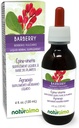 Naturalma Barberry (Berberis vulgaris) Root bark Alcohol-Free Tincture - 4 fl oz Liquid Extract in Drops - Herbal Supplement - Vegan
