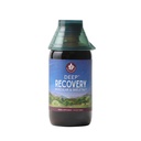 WishGarden Herbs Recovery Deep - Natural Herbal Muscle, tesut & Joint Supplement with Turmeric Curcumin, Adrese Root Cause of Lingering Issues & Promovează răspuns inflamator sănătos, 4oz