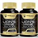 Lions Mane Supliment Capsule - 120 Conte - Supliment ciuperci, Suplimente pentru creier pentru memorie și concentrare, Lion coamă capsule ciuperci - Suport cognitiv și imun, Focus Supliment - 2 ambalaj