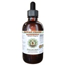 Extract lichid de alcool-FREE Barberry organic (Berberis Vulgaris)