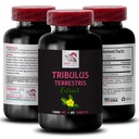 Rezistenta Putere - TRUBULUS TERRESTRIS EXTRACTS - Energie pentru activitate, Formula de suport energetic, Suport energetic activ, Boost de energie pe bază de plante, Putere de activitate, Workout activ Boost 1 flacon 60 tablete