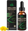 Mullein Leaf Extract pentru plămâni - Mullein picături pentru asistență de sănătate respiratorie Lung Detox Cleanse - Vegan zahăr-Gluten gratuit - supliment lichid pentru bărbați Femei 2fl. oz (60ml) (1 ambalaj)