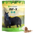 Silver Lining Herbs Equine INF-X - Sprijină relieful de stres al cailor şi nivelurile sănătoase de bun Bacteria - Suport natural pentru sistemul imunitar al ecvideelor - Suplimentul vegetal pentru detoxificarea ecvideelor - 1 lb