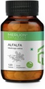 Sheltr Alfalfa comprimate, Medicago Sativa, toate naturale, pure plante aromatice 500mg x 120 comprimate