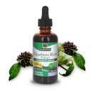 Nature's answer Alcool-Free Eleuthero Root, 2-Fluid Ounces 