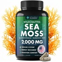 Sea Moss Capsules - Irish Sea Moss Advanced with Braddock Root, Bladderwrack & Muira Puama for Imunity, Gut, & Energy - Superfood Sea Moss Suplimente w/Raw Sea Moss Powder - 120 Irish Seamoss Pills